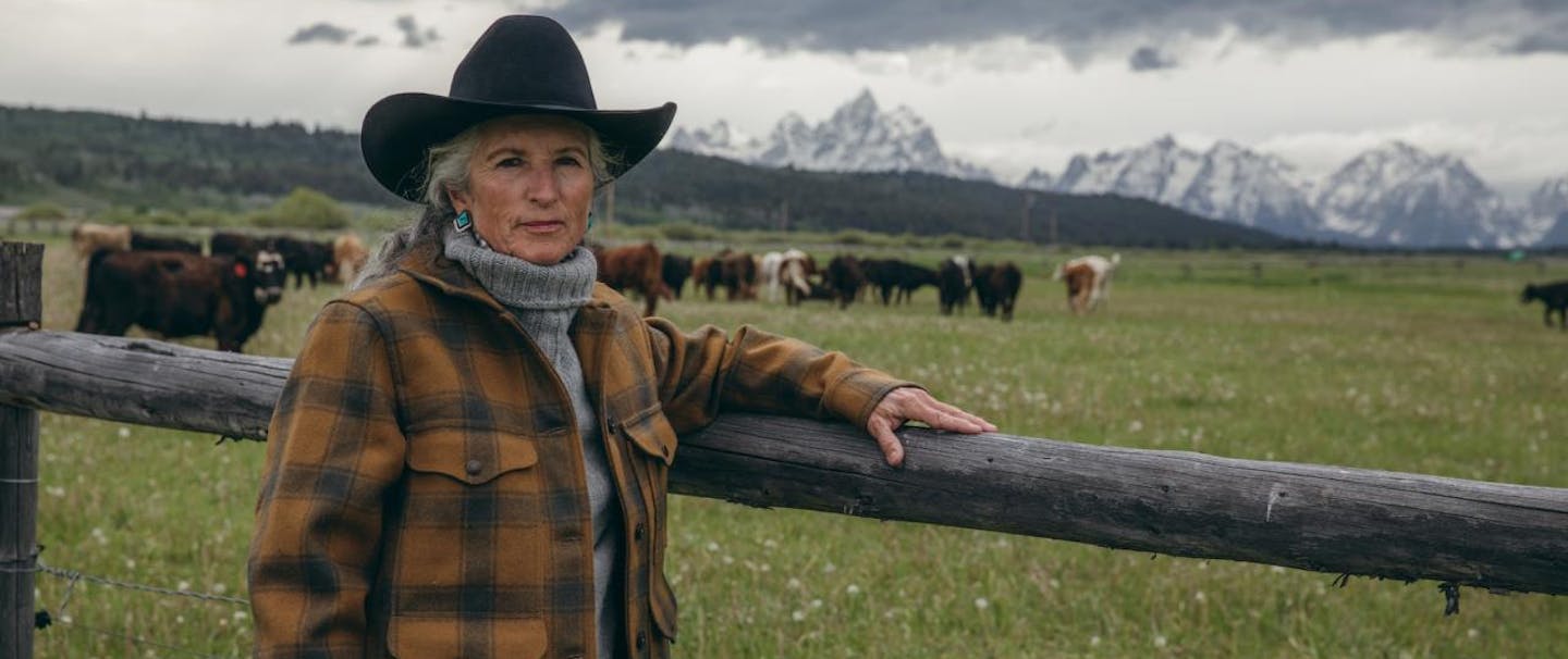 jane standing next to a fence with cattle and mountains in the background