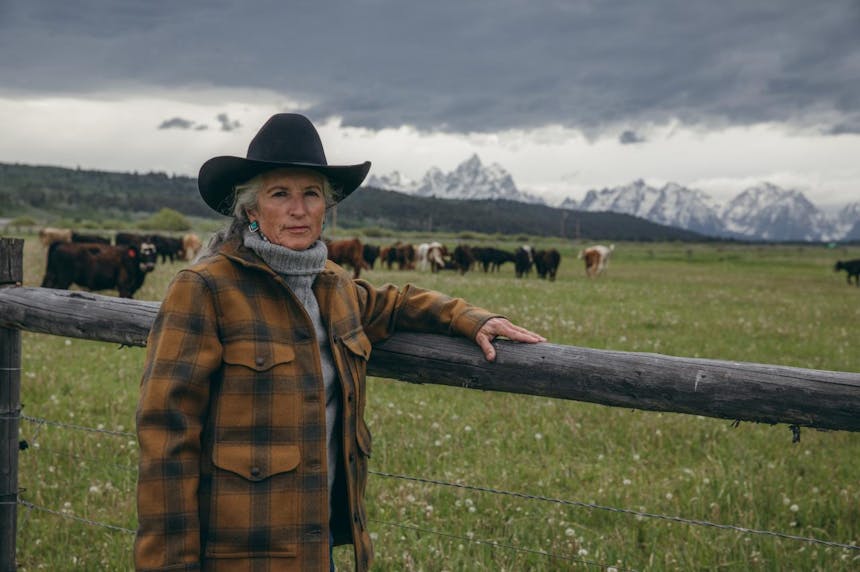jane standing next to a fence with cattle and mountains in the background
