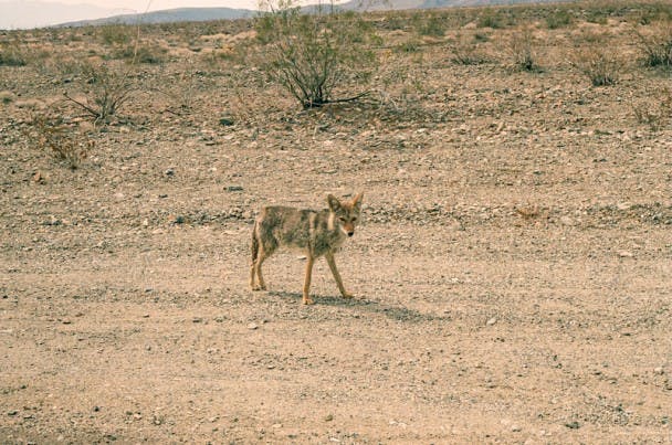 Outside Death Valley