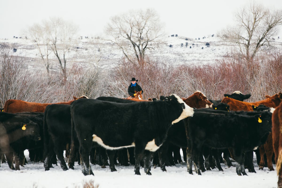 Filson Life - Wyoming Cowboy