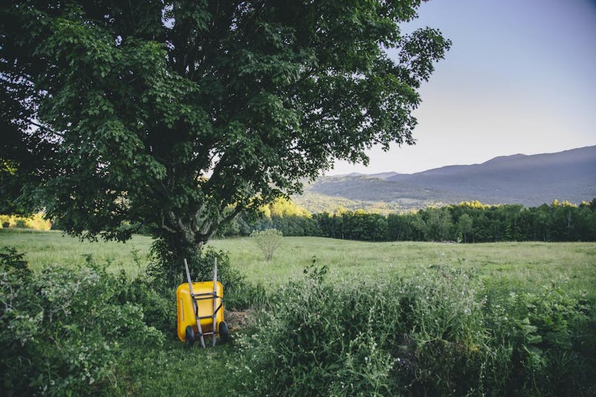 yellow wheelbarrow leadning against tree in open green meadow at Bragg farm