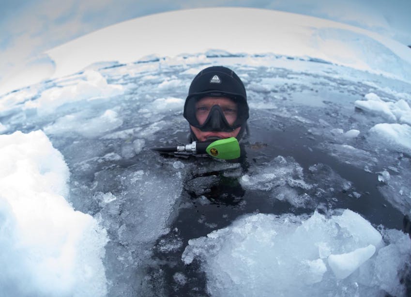 alyssa adler head above water before scuba diving in arctic water with ice floats and snow