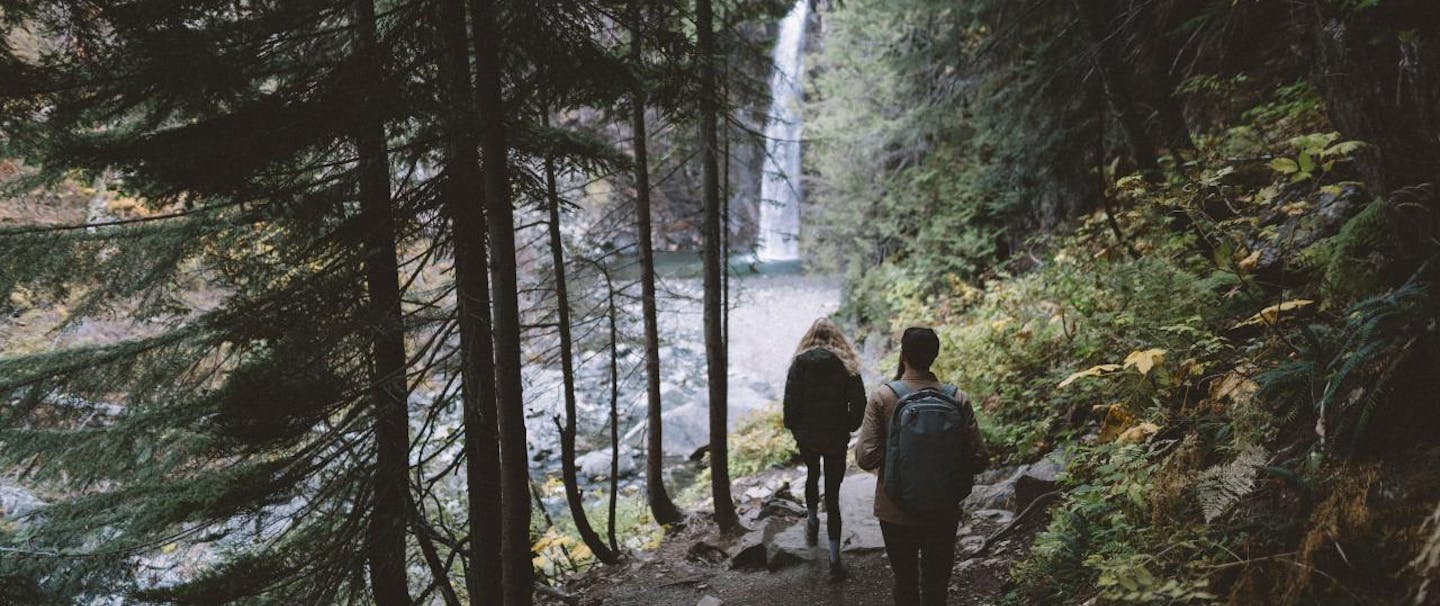people hiking toward waterfall on forest path