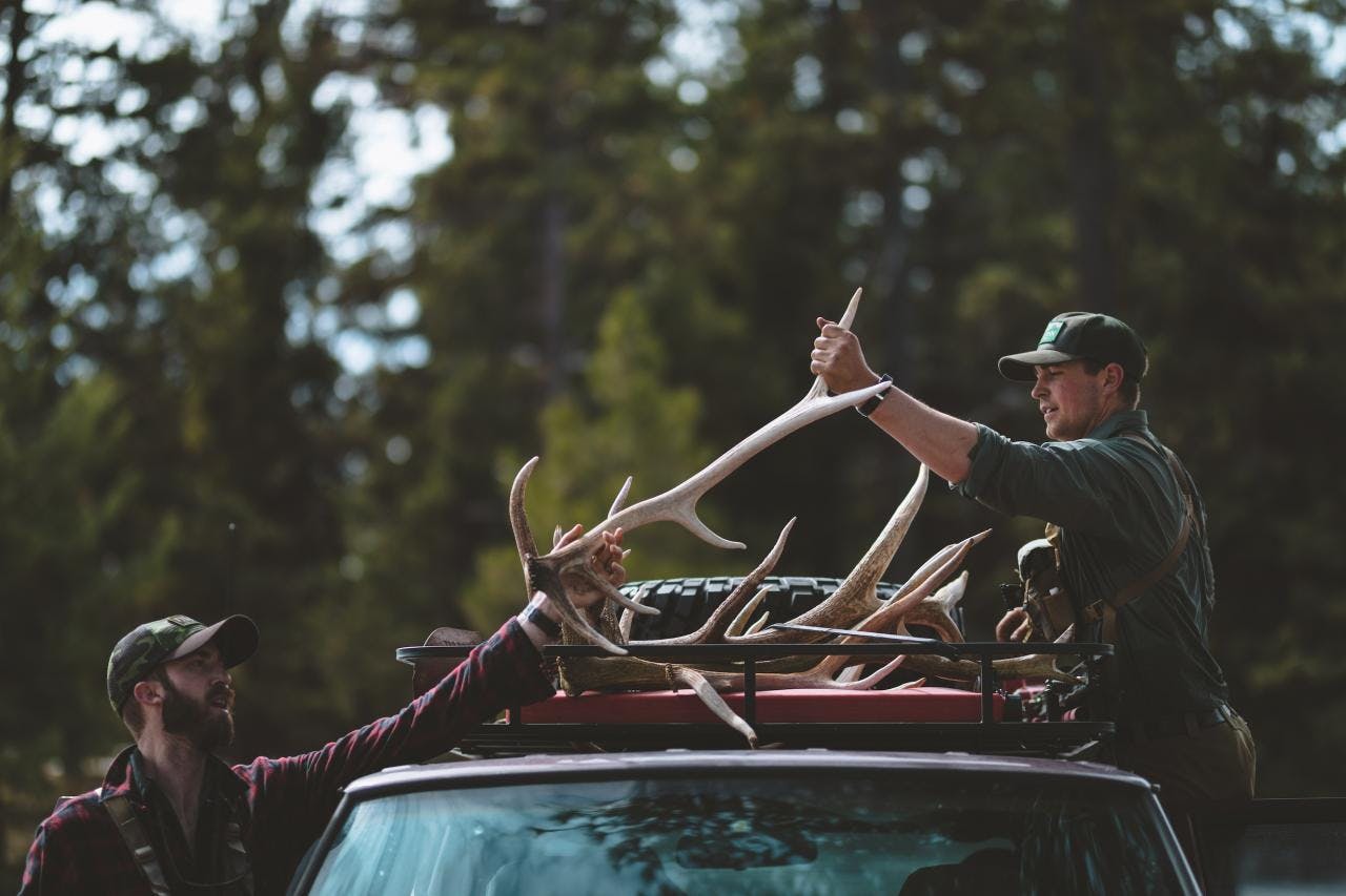 two men are loading elk antlers into a truck