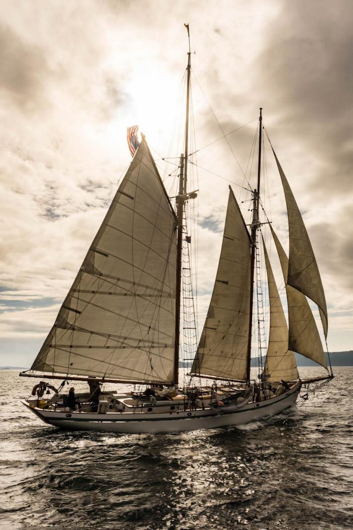 will-kutscher-dirigo-II sailboat with white sails on the water