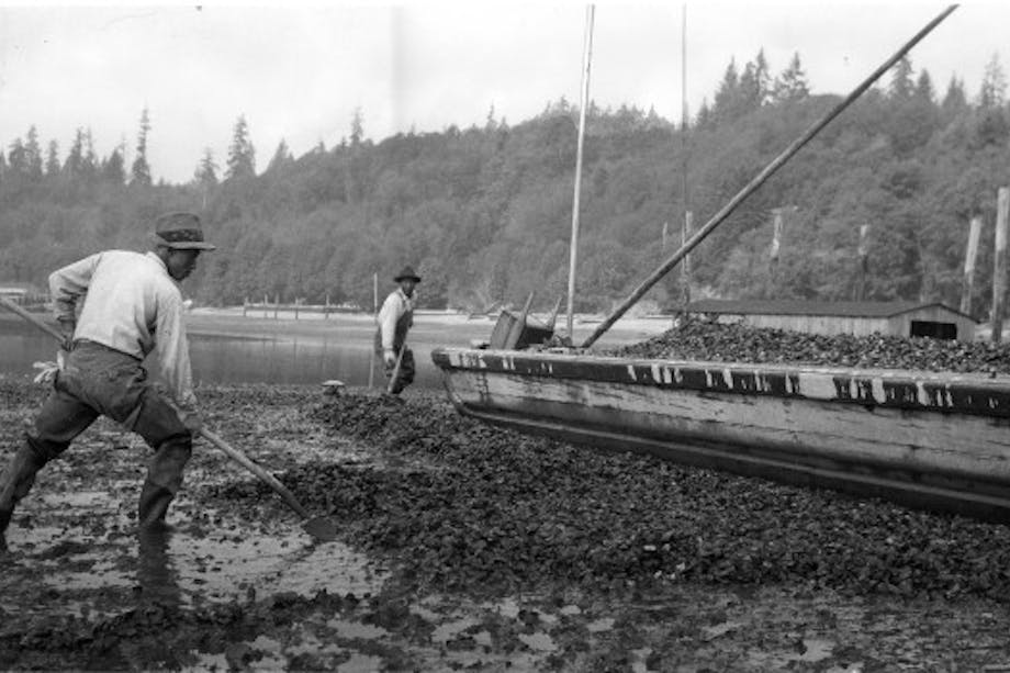 men working with long oyster rakes on rocky beach at water's edge next to wooden boat bough