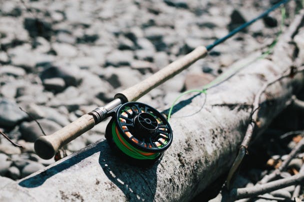 Fly fishing rod resting on a downed tree with green fishing line in spool