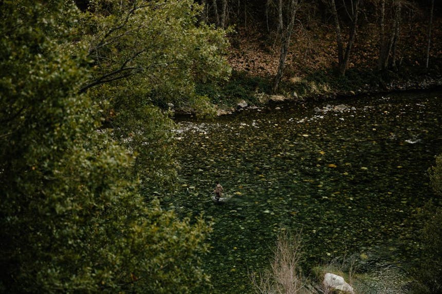 andrew-miller-steelhead
