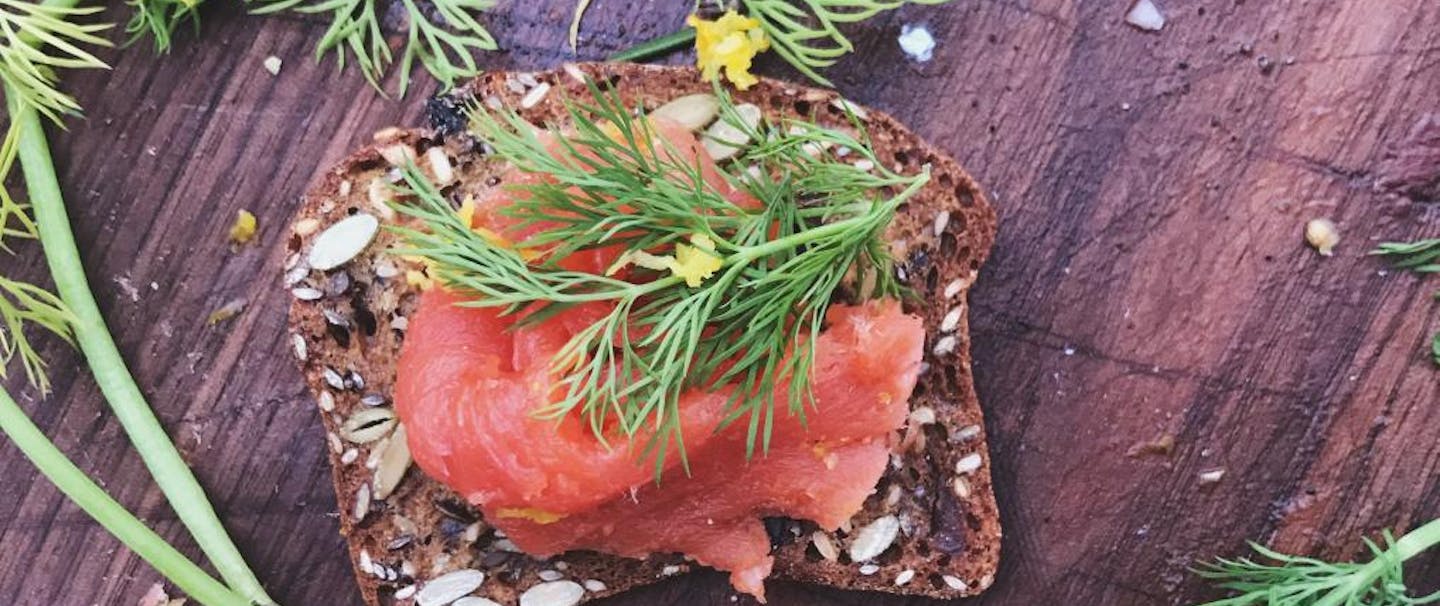 salmon gravlax with dill fronds and brown rye bread