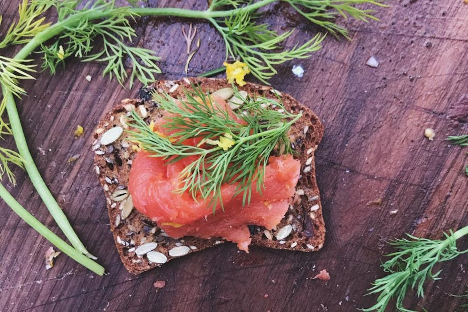 salmon gravlax with dill fronds and brown rye bread