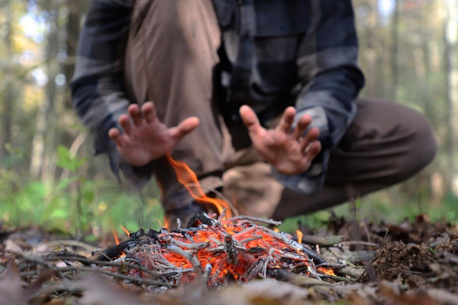 Stinging Nettle — Woodland Bushcraft
