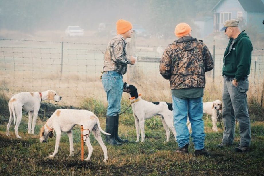 three hunters stand with their hunting dogs in a field