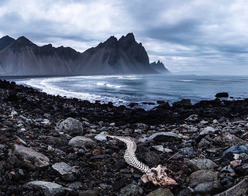 Tanner Wendell - Travel Photography for Filson