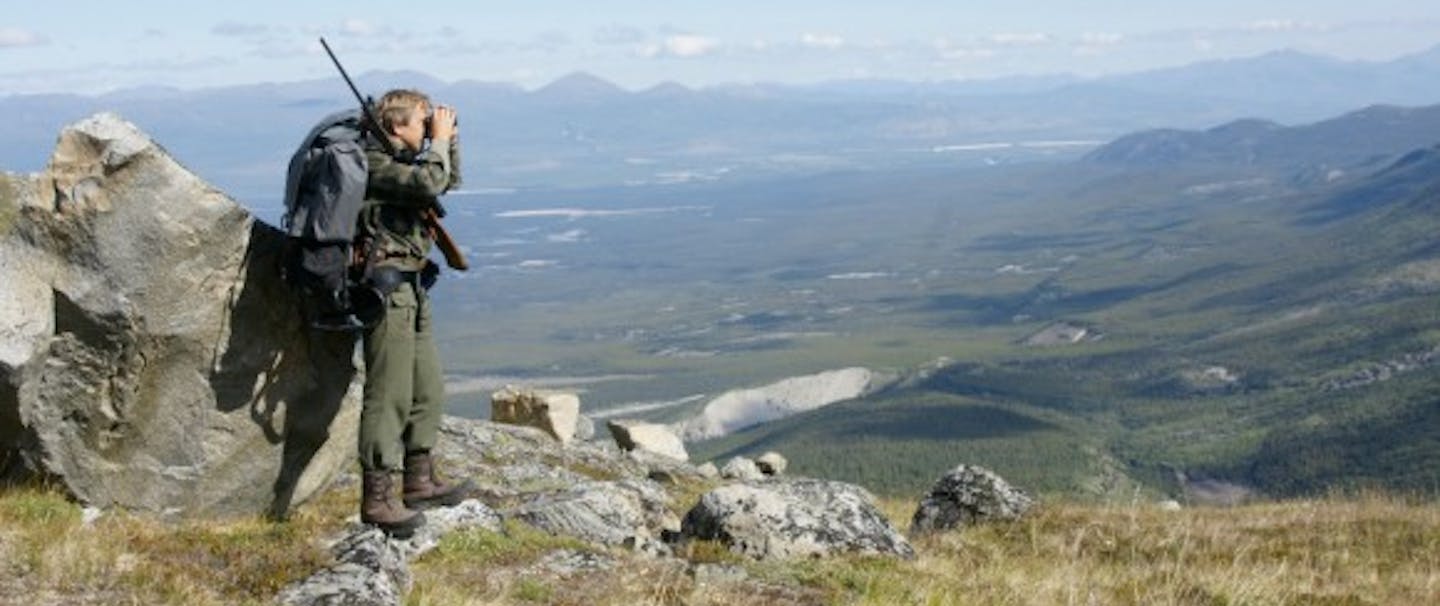 man with hunting pack and gun surveys green vista from hill-top with binoculars