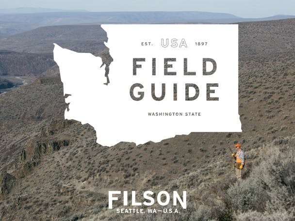 In the Fall: Fly Fishing Washington State's Hidden Gems