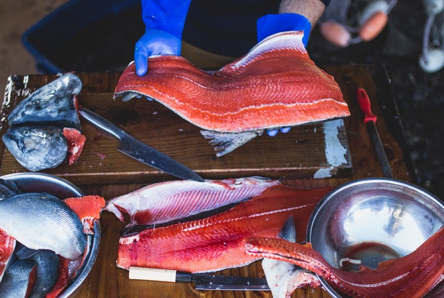 Exploring the Five Wild BC Salmon Species - A Culinary Journey with St.  Jean's Cannery