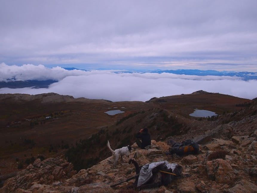 man using binoculars on cliff next to dog