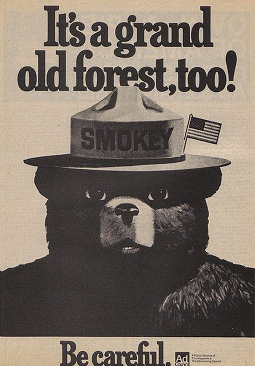 Smokey Bear poster