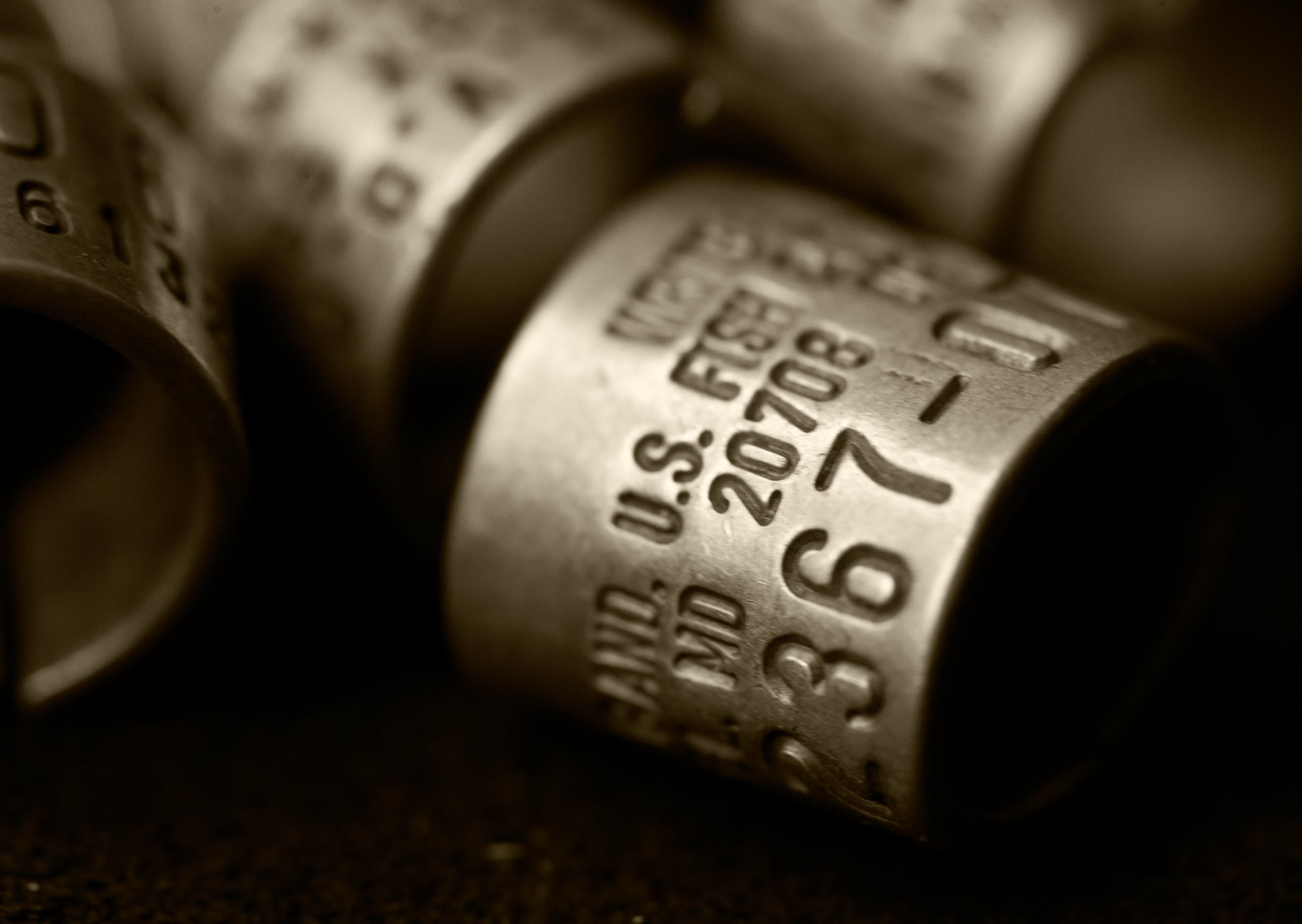 Duck Banding: Hunter-Backed Conservation Work Helps Waterfowl 