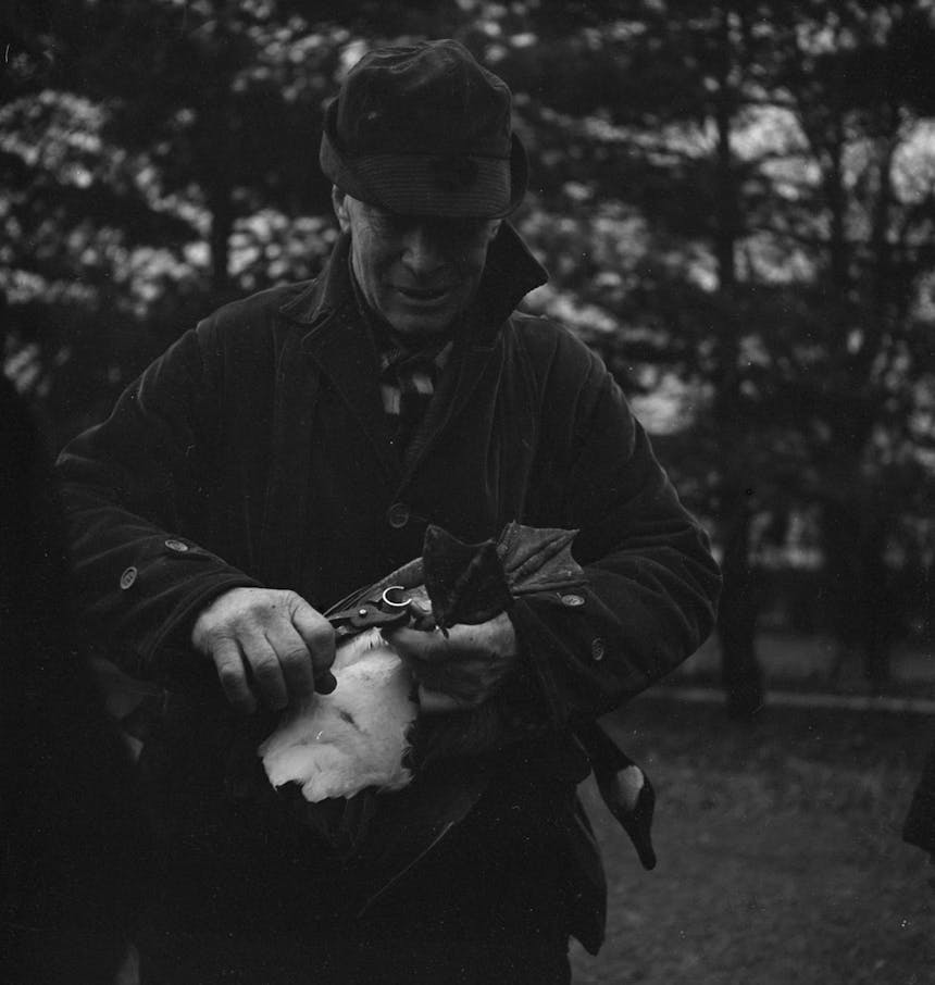 wild goose jack placing a tag on the leg of a duck laying on it's back in the woods