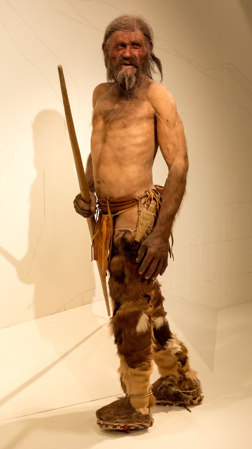 a museum reconstruction of an indigenous man without a shirt, long beard and hair wearing animal skins and furs on his lags and feet holding a stick
