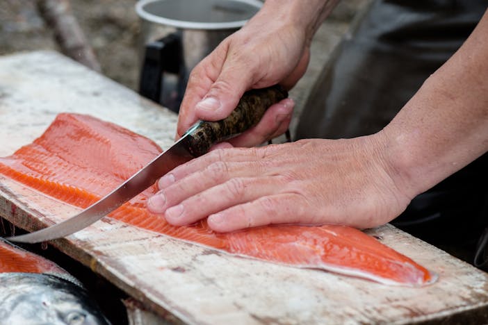 a close up of a man holding a fillet knife with a custom brown handle cutting into a fillet of salmon sitting on an old 2x4 board next to a silver coffee canteen and the remainder of the fish waiting to be butchered