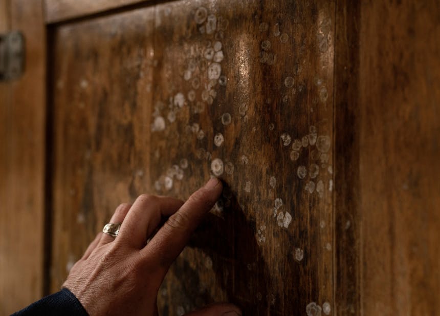 Finger pointing at white spots on a wooden surface