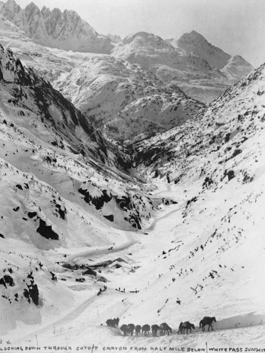 line of pack horses walking through a snowy mountainous canyon