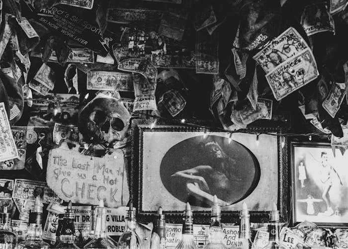 image of eclectic decor of the backbar at the salty dog saloon, human skull, old pinup portraits, and money hung everywhere