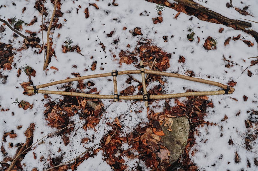 snow shoe skeleton of pine boughs lying on snowy ground