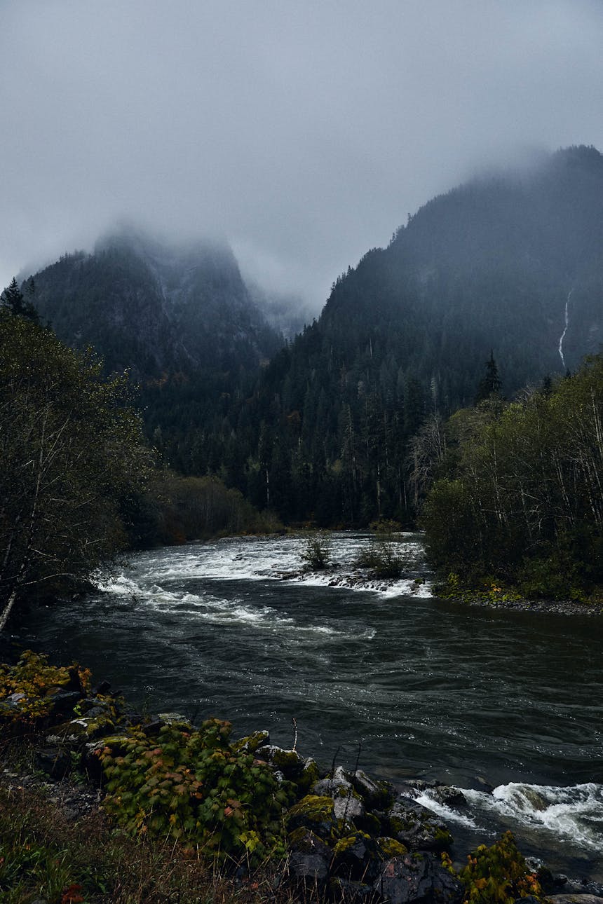 steep pine covered mountains rise into thick fog behind a dark river