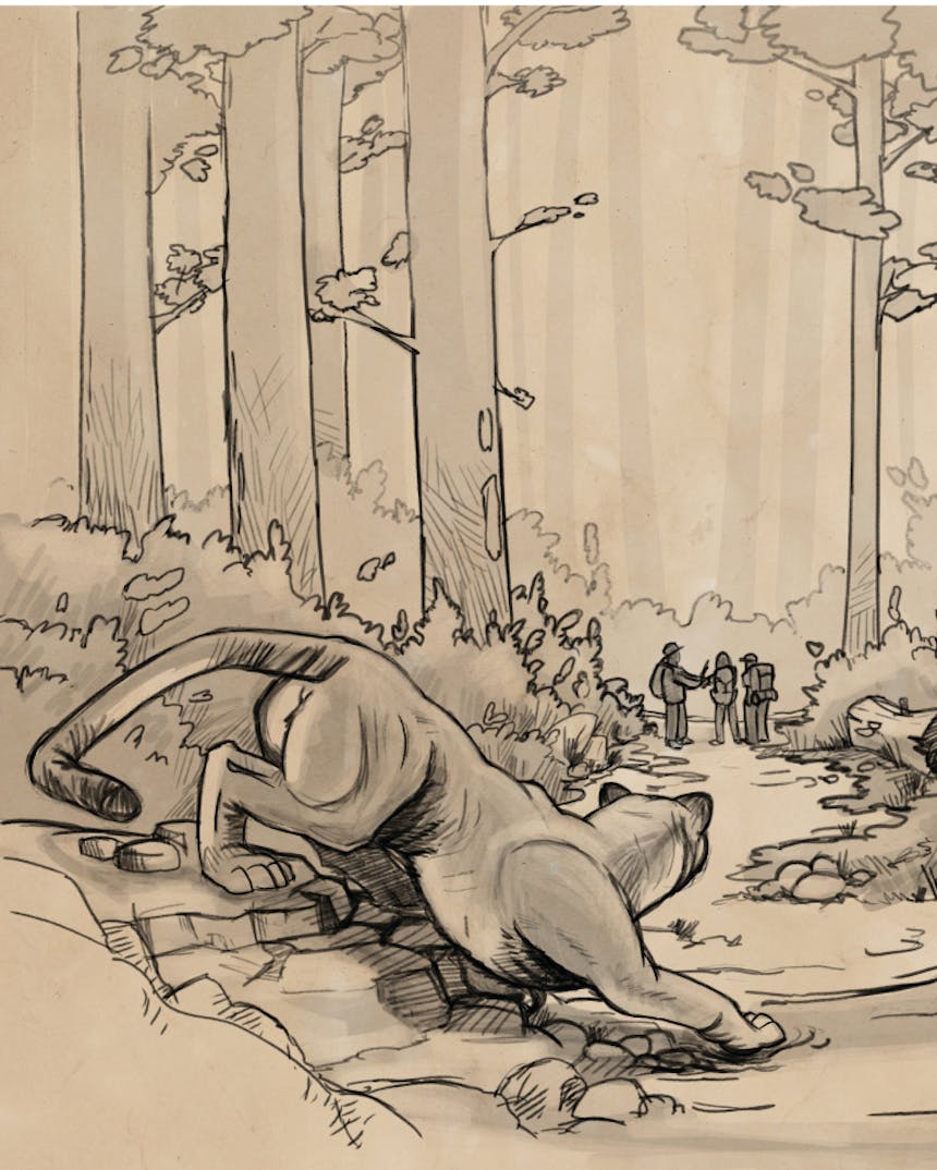 illustration of cougar in forest stalking a group of hikers on a trail