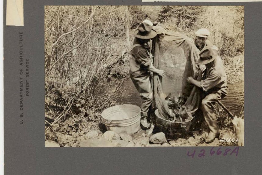 three men lifting a net out of a large metal bucket standing next to the side of a river