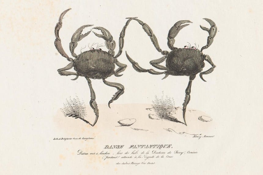 fanciful looking illustration of crabs doing a jig style dance