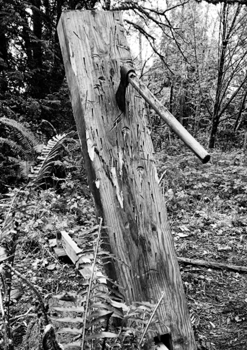 tomahawk stuck in a slab of wood sticking out of the ground in the woods