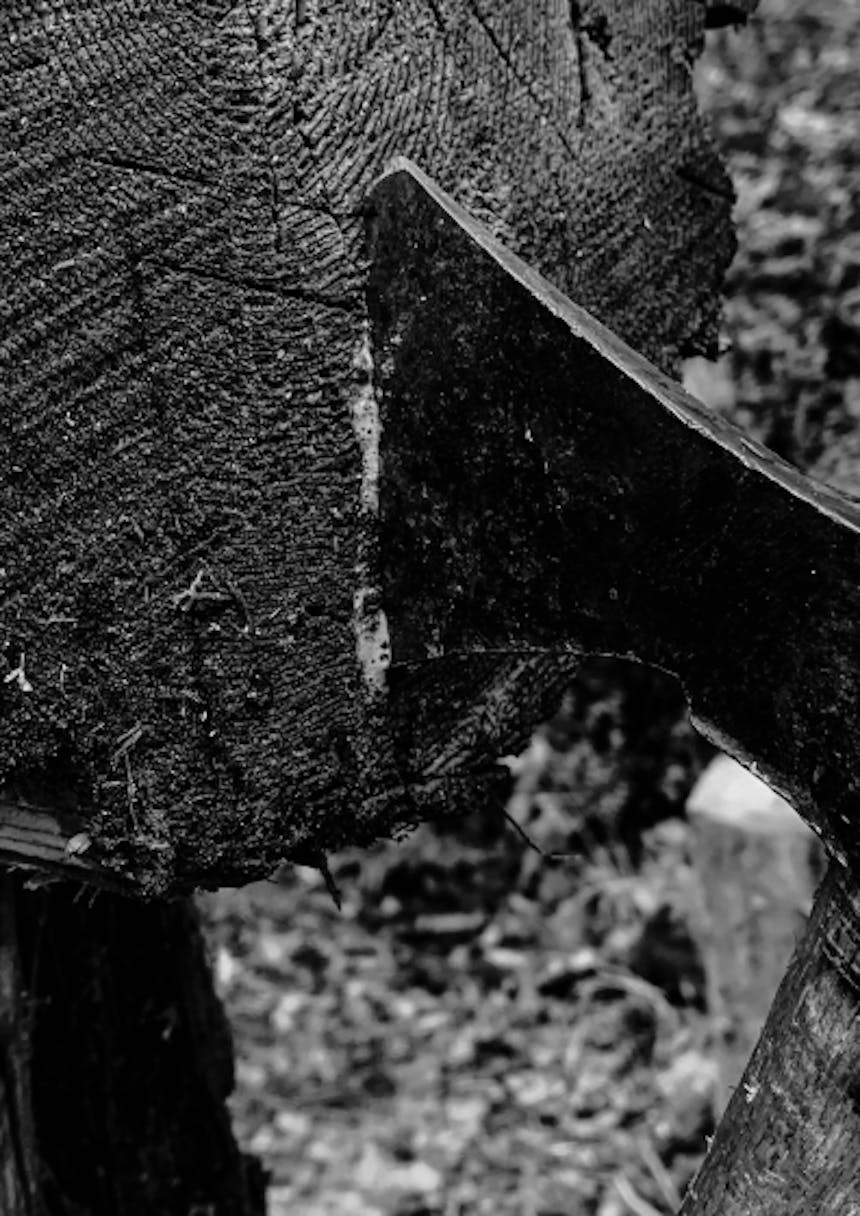 closeup detail of the head of an axe lodged in the butt of a log