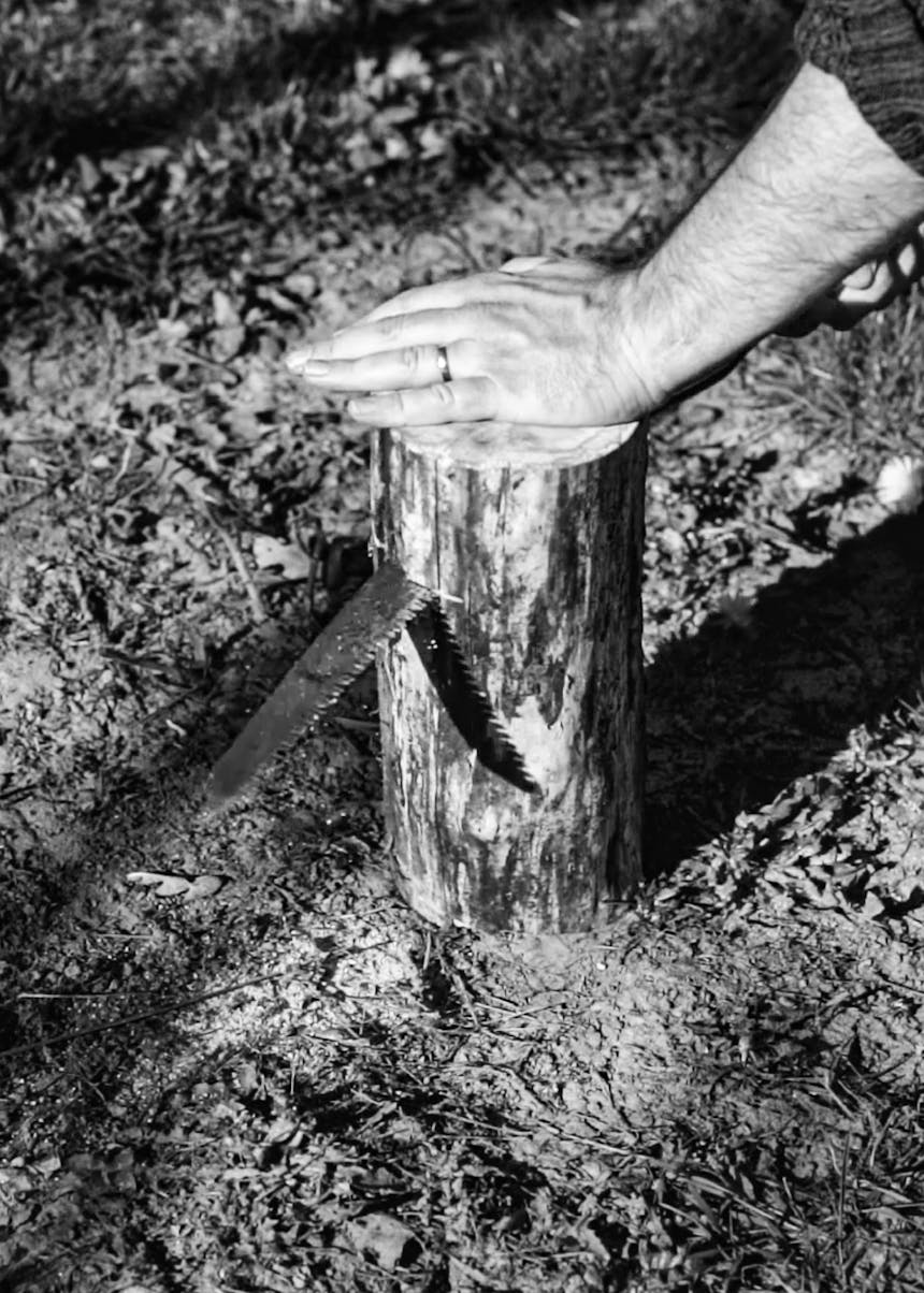 hand holding a log steady while a saw cuts through the center horizontally