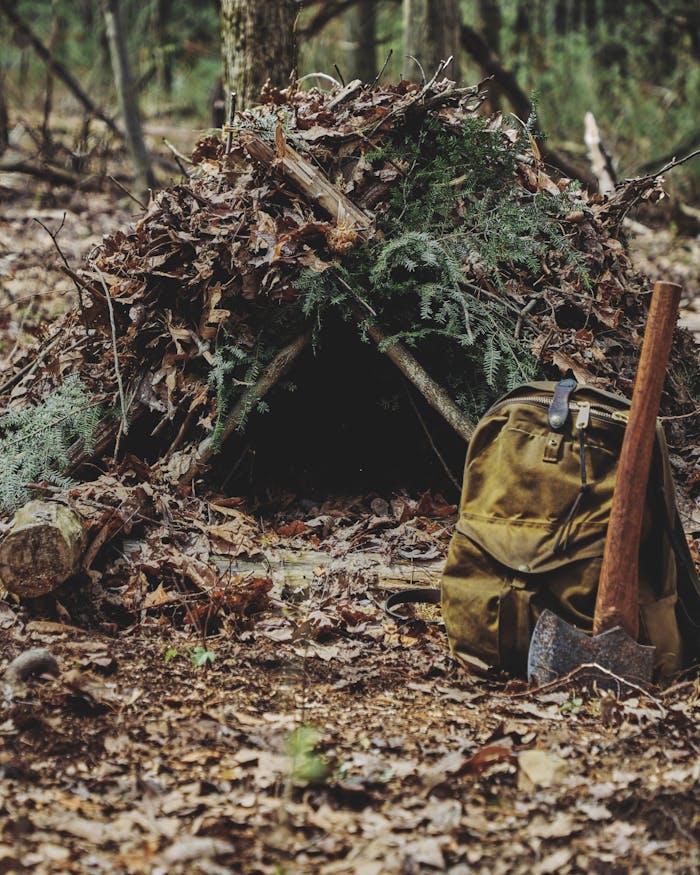 improvised lean to with pine boughs supported by wooden cross braces on leaf covered ground with tomahawk and filson backpack in front of entrance