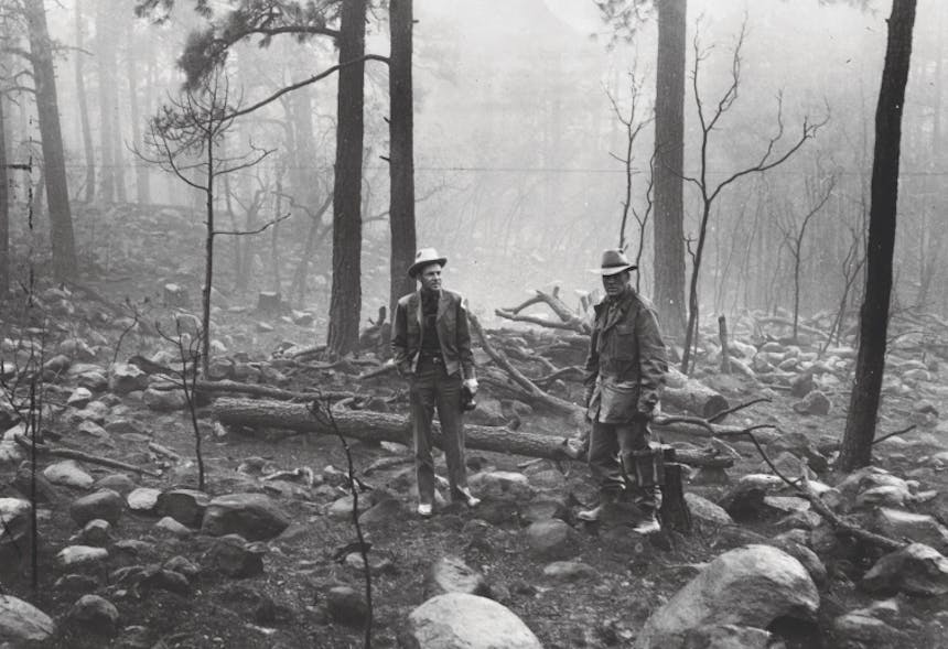 two men with the forestry service standing in front of a forest which has been affected by fire