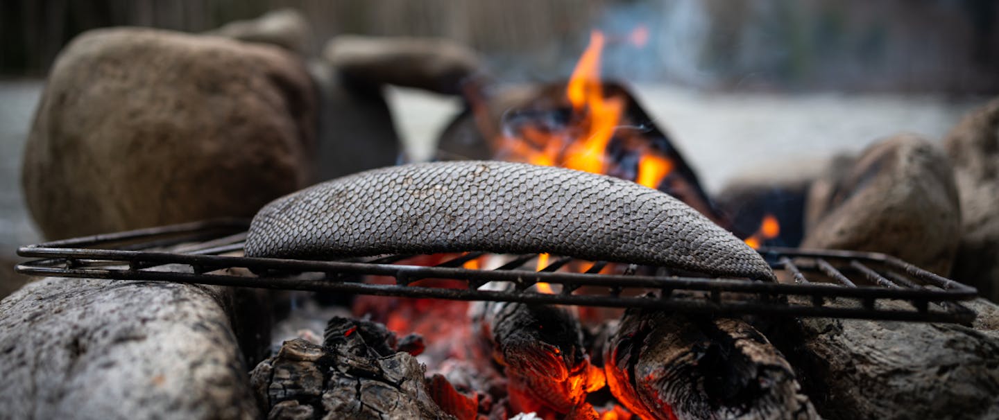 a beaver tail roasting on a grate over red hot coals in a firepit