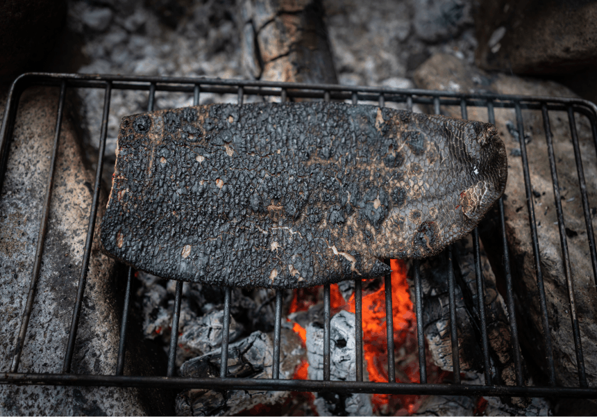 beaver tail roasting on a grate over red hot coals