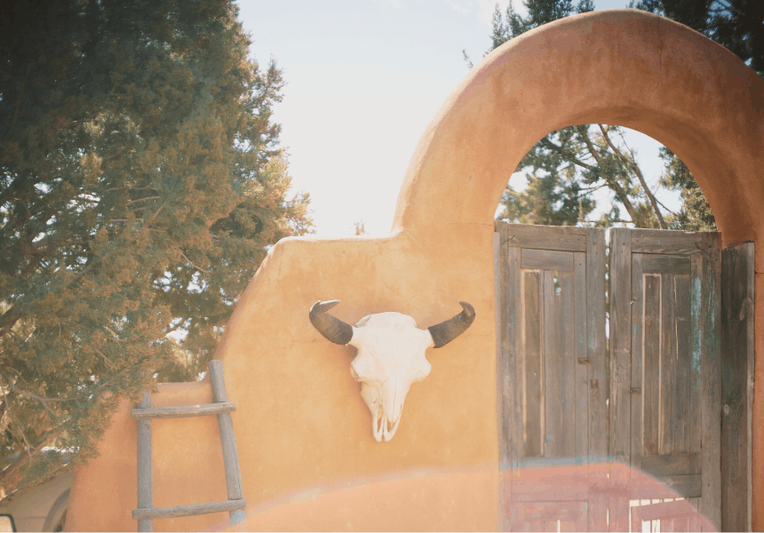 bleached bull skull hanging on an adobe archway with a wooden door