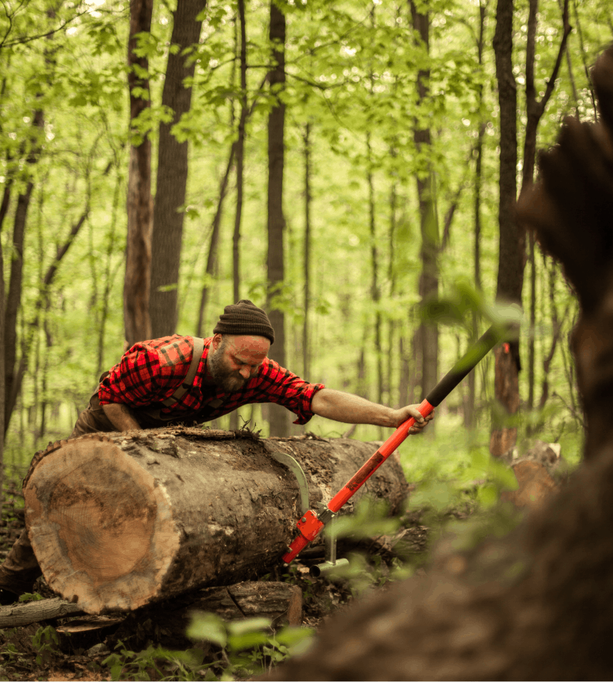 What You Need to Chainsaw Your Own Lumber