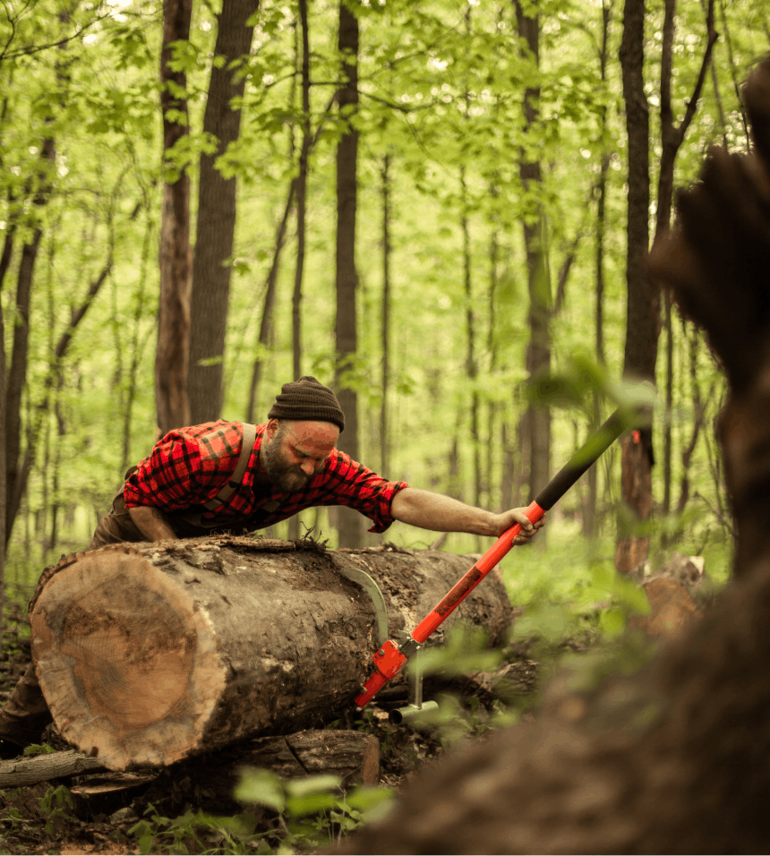 person in red and black flannel and black beanie using a tool to score a large log lying on its side in the woods