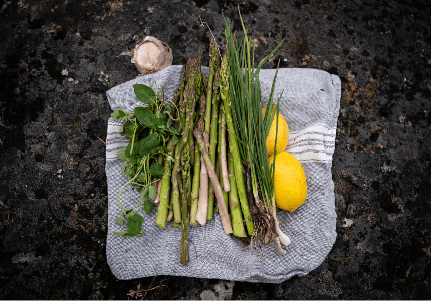 asparagus, spring onions, lemons, and herbs on a towel on a rock