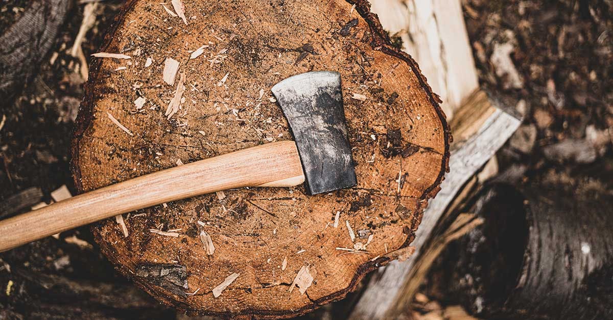 Hafting an axe: DIY