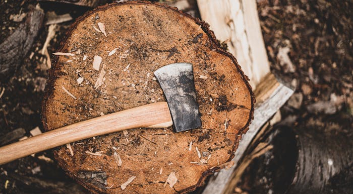 axe lying on a stump