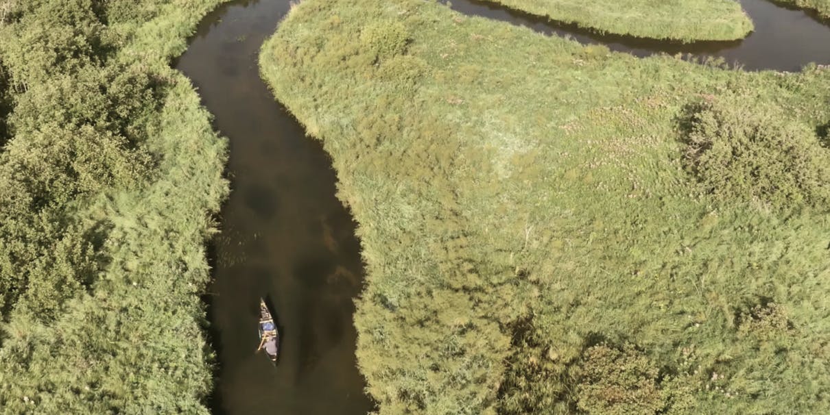 aerial view of a canoe travelling along a meandering river lined by lush greenery on either side
