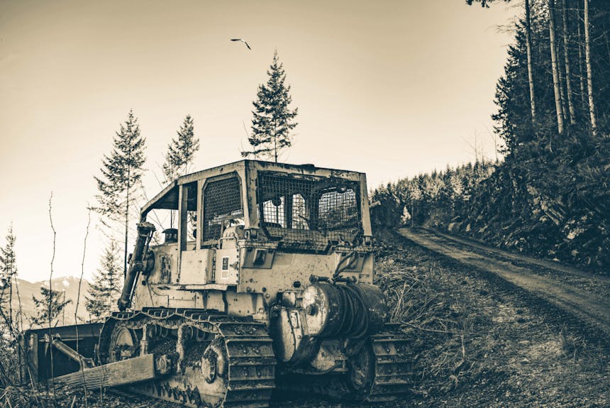 a bulldozer parked on a dirt path in a pine forest