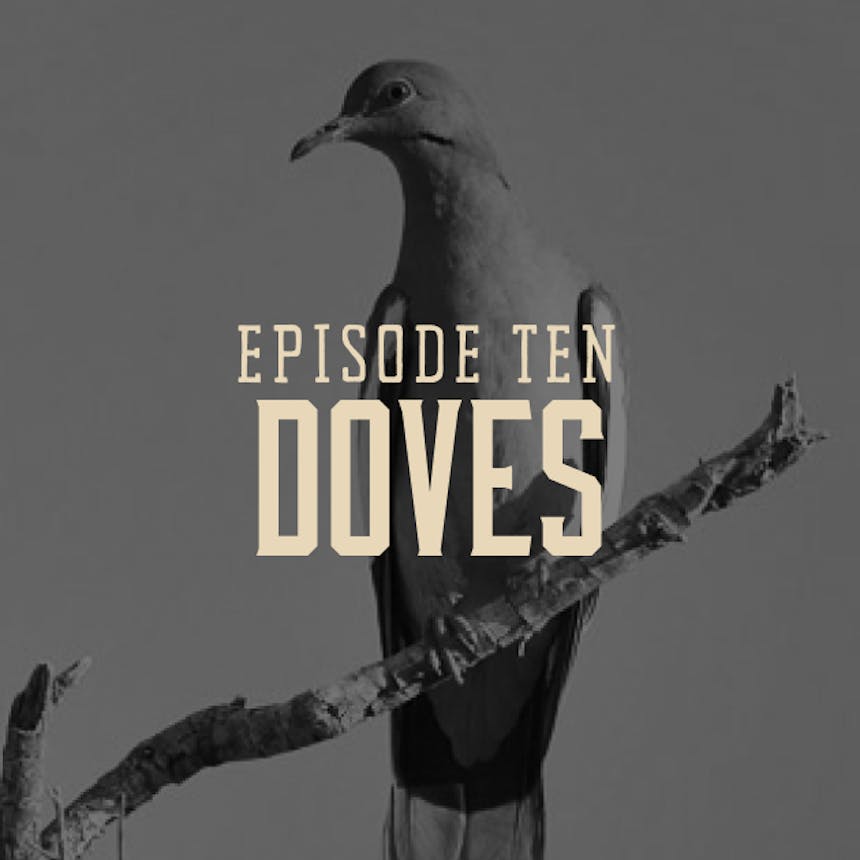 dove-hunting-podcast-cover-art